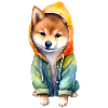 Funny Shiba Inu in jacket.