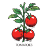 Just tomatoes