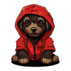 Little dog in red hoodie