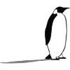 Pinguin