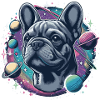 Frenchi dans l’espace2