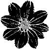 Flower, Black, Flowers, Black, Blossom