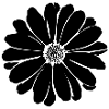 Flower, Black, Flowers, Black, Blossom