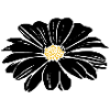 Flower, Black, Flowers, Black, Blossom