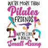 Instructeur de Pilates Professeur Amis