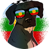 Mapuche
