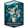 Illustration Hirschhorn Castle, Germany