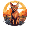 Abyssinian Cat Abessinierkatze