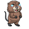 Cute muskrat