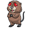 Cute muskrat