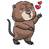 Cute muskrat