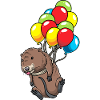 Muskrat