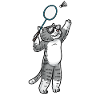 Funny badminton cat