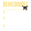 Bernedoodle Dog