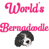 Bernedoodle Dog