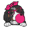 Chien Bernedoodle