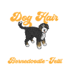 Bernedoodle Dog