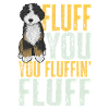 Bernedoodle Dog