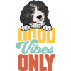 Chien Bernedoodle