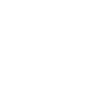 Otter Space Lustig Otter Astronaut