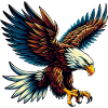 Eagle