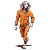 Weimaraner Jogging Motif