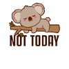 Not Today Koalabear Eucalyptus Phascolarctos