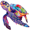Turtle rainbow