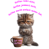 Cat Coffee I like coffee