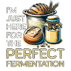 Fermantation au levain