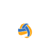 Volleyball Volleyballer