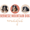 Bouvier bernois Magic