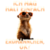 Erdmännchen Süßes Meerkat Ich Mag Halt Erdmännchen