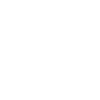 Dragon Fantasy Fire Dragon