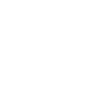Dragon Fantasy Fire Dragon