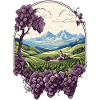 Vineyard