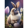 Hare