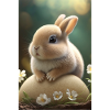 Hare