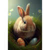Hare