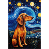 Dachshund Dog