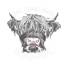 Eat Sleep Moo Highland Beef