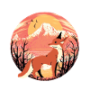 Fuchs Füchse Wildnis