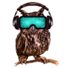 Owl_ 03