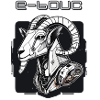 T shirt e-bouc