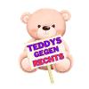Teddys gegen Rechts!