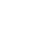Drone Pilot