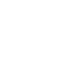 Drone Pilot