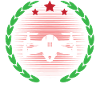 Drone Pilot