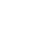 Violin Violin Violinist Violin Player