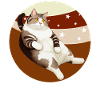 PLIAGE CHAT